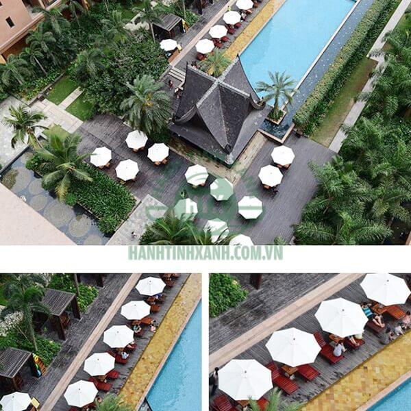 Ghế bể bơi bằng gỗ được ứng dụng nhiều tại các resort, khách sạn, homestay,...