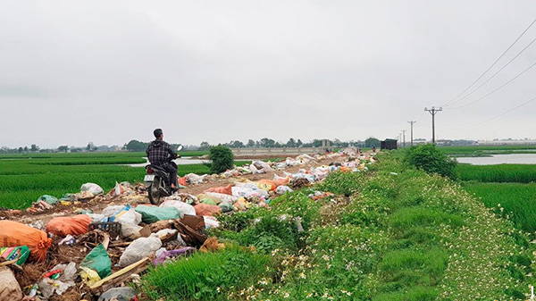 xa rac bua bai tai thanh hoa