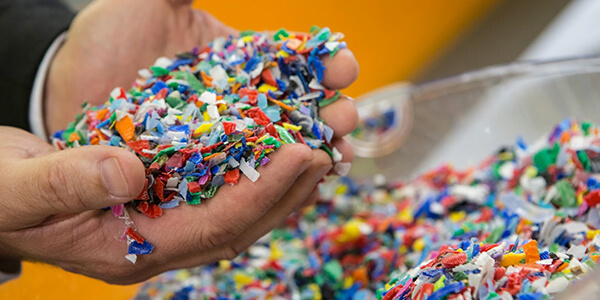 phan biet nhua tai sinh