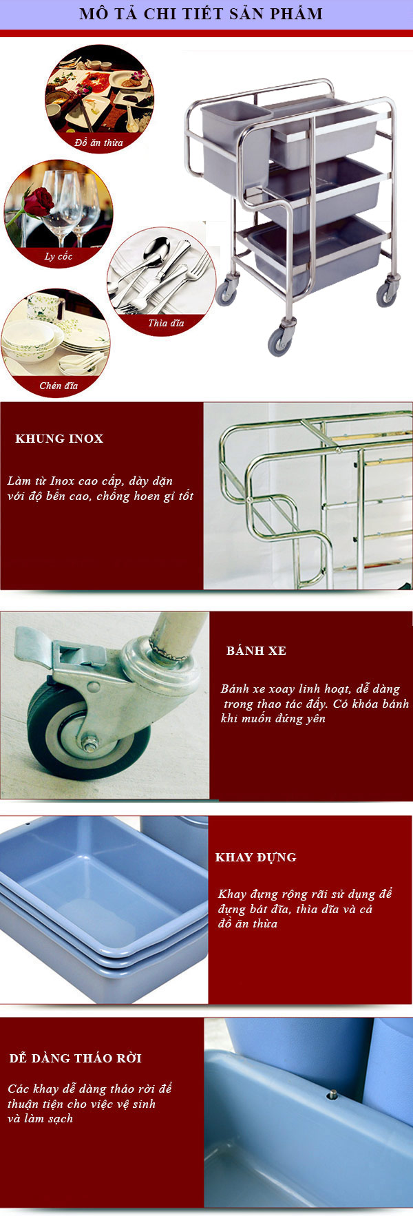 Những đặc điểm nổi bật chi tiết nhất