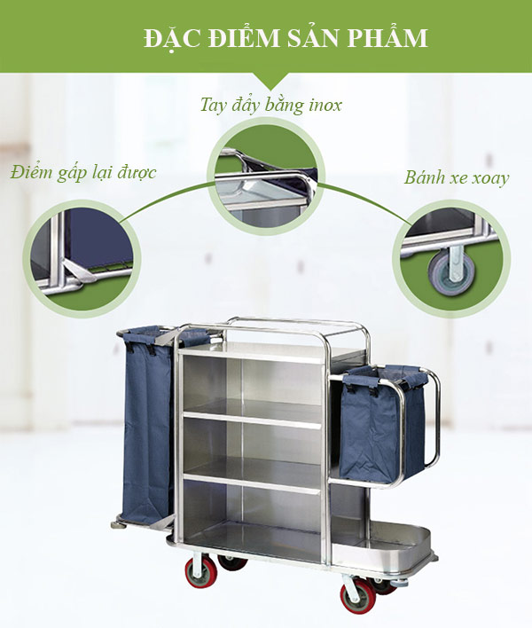 Sở hữu những đặc điểm nổi bật ấn tượng