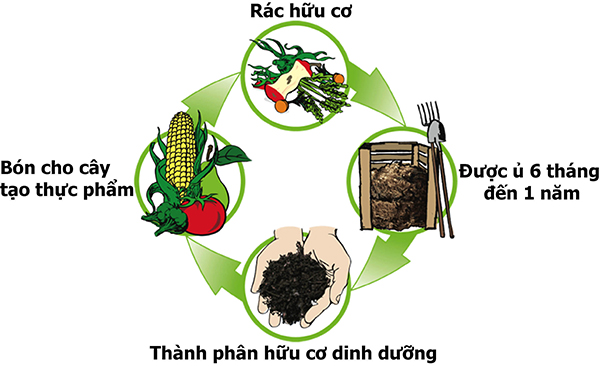 Rác hữu cơ là gì? Phương pháp xử lý rác hữu cơ hiệu quả