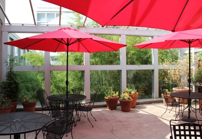 Dù che nắng chính tâm tròn đang được ưa chuộng