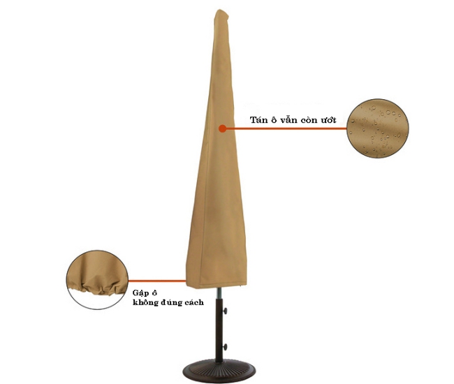 Dù che mưa loại to bị giảm tuổi thọ do bảo quản sai cách