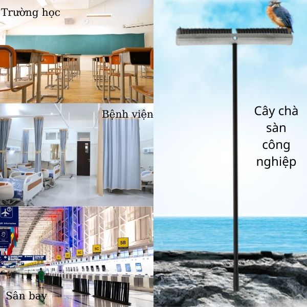Chổi đánh sàn công nghiệp với tính ứng dụng cao được nhiều người sử dụng