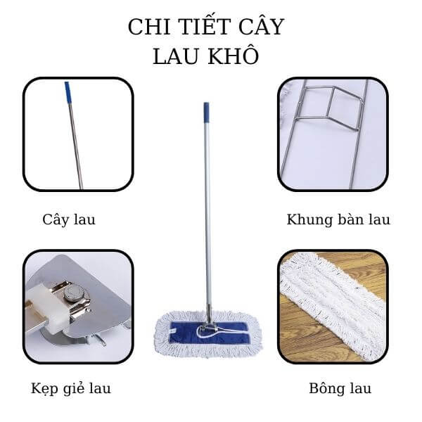 Cấu tạo chi tiết cây lau khô sàn nhà