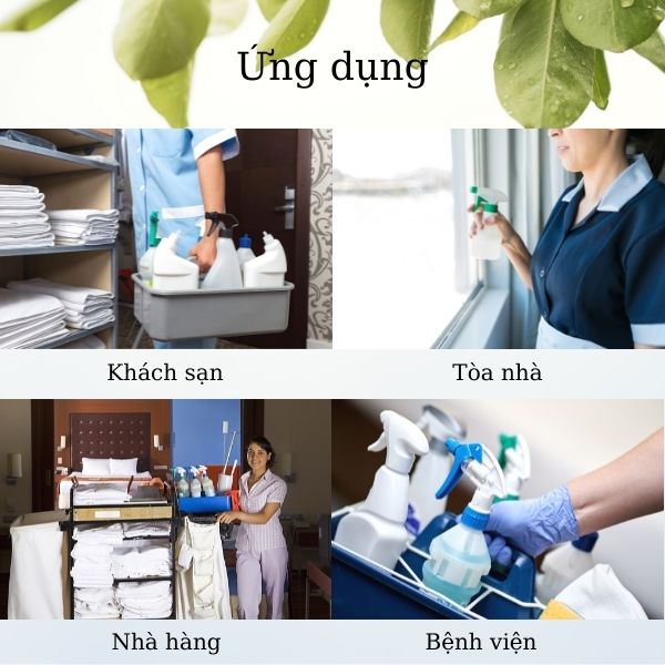 Ứng dụng đa dạng không gian của khay đựng dụng cụ lau kính