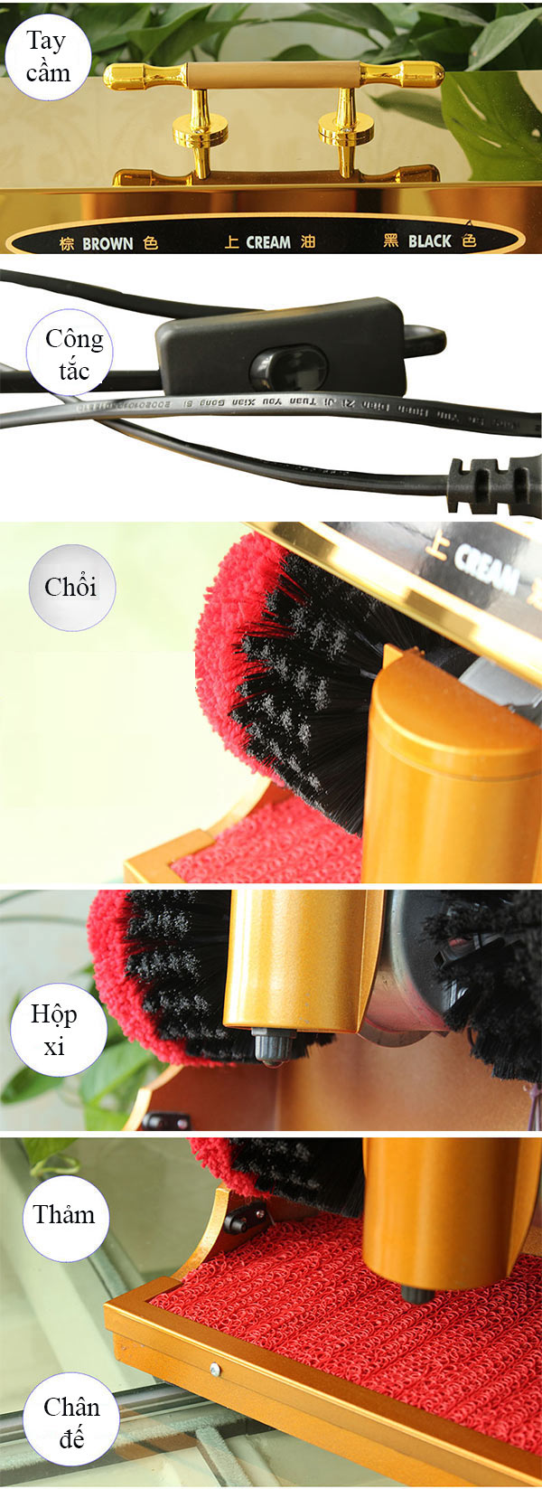 Đặc điểm các chi tiết