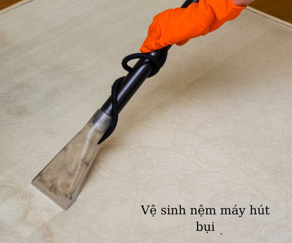 Nệm lót ghế hồ bơi