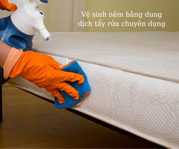 Nệm lót ghế hồ bơi