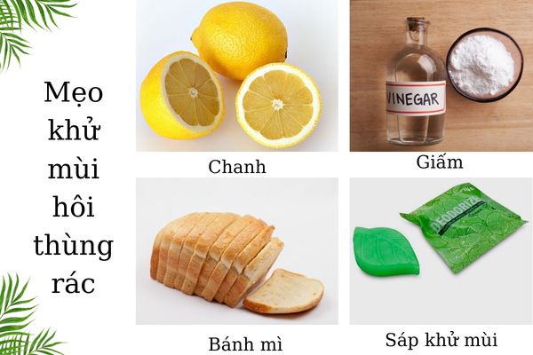 Một số nguyên liệu khử mùi hôi thùng rác hiệu quả