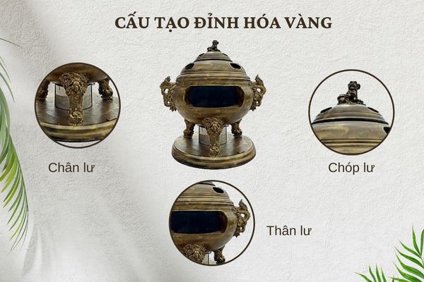 Cấu tạo của đỉnh hóa vàng