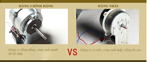 Sự khác biệt ở động cơ máy