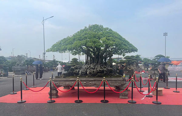 Hình ảnh thực tế khi sử dụng