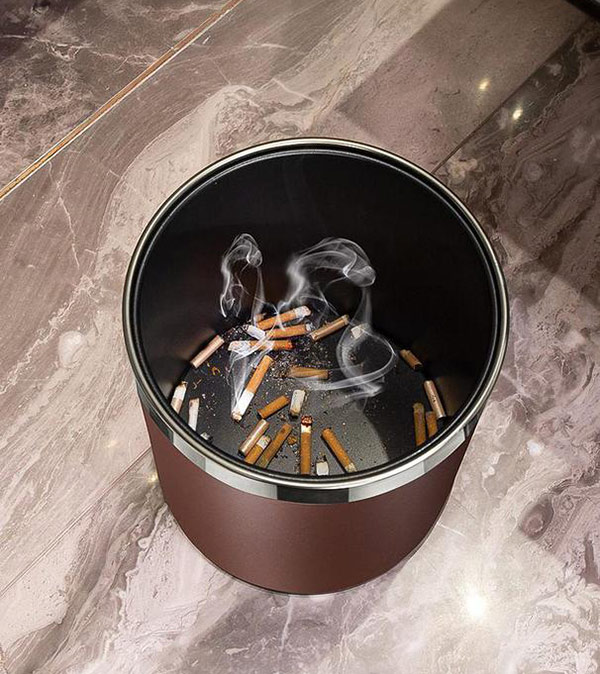 Thích hợp đặt trong phòng