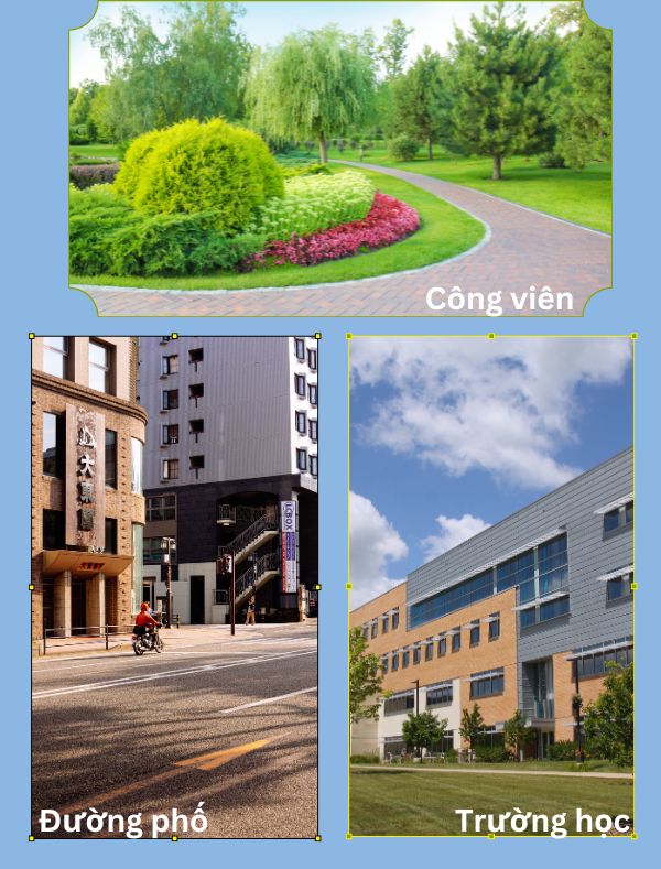 Đa dạng không gian sử dụng