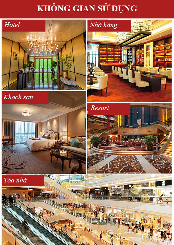 Các không gian nên mua xe đẩy hành lý cỡ lớn